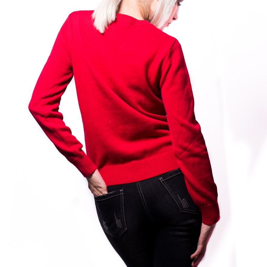 PULOVERE - MATCHING SWEATERS - Christmas - Red & Blue