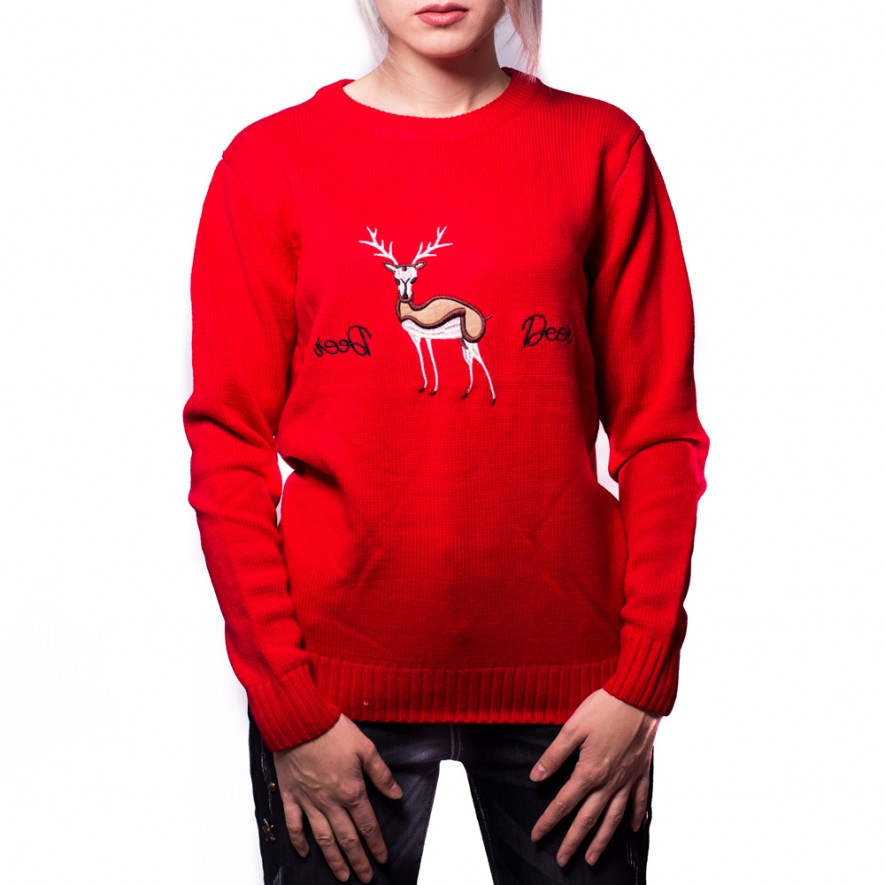 PULOVERE - MATCHING SWEATERS - Christmas - Red & Blue