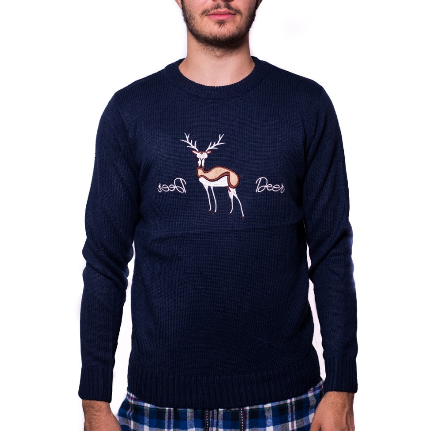 PULOVERE - MATCHING SWEATERS - Christmas - Red & Blue